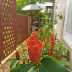Inn De​ Lanta Place